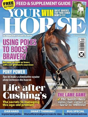 cover image of Your Horse